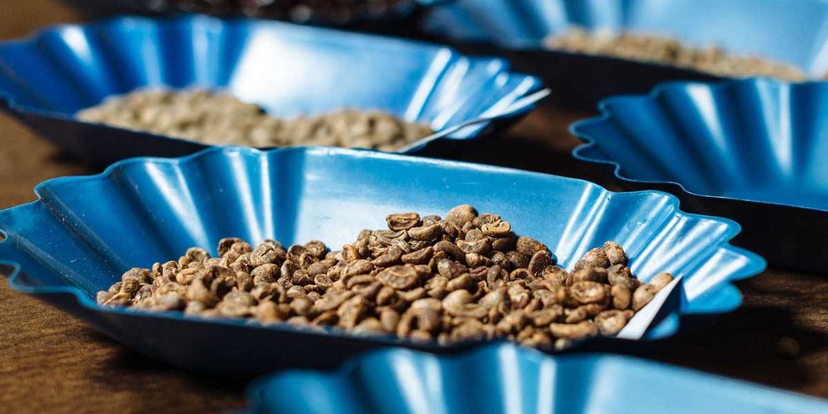 Seven Coffee Cupping Trays for Home Tasting Sessions