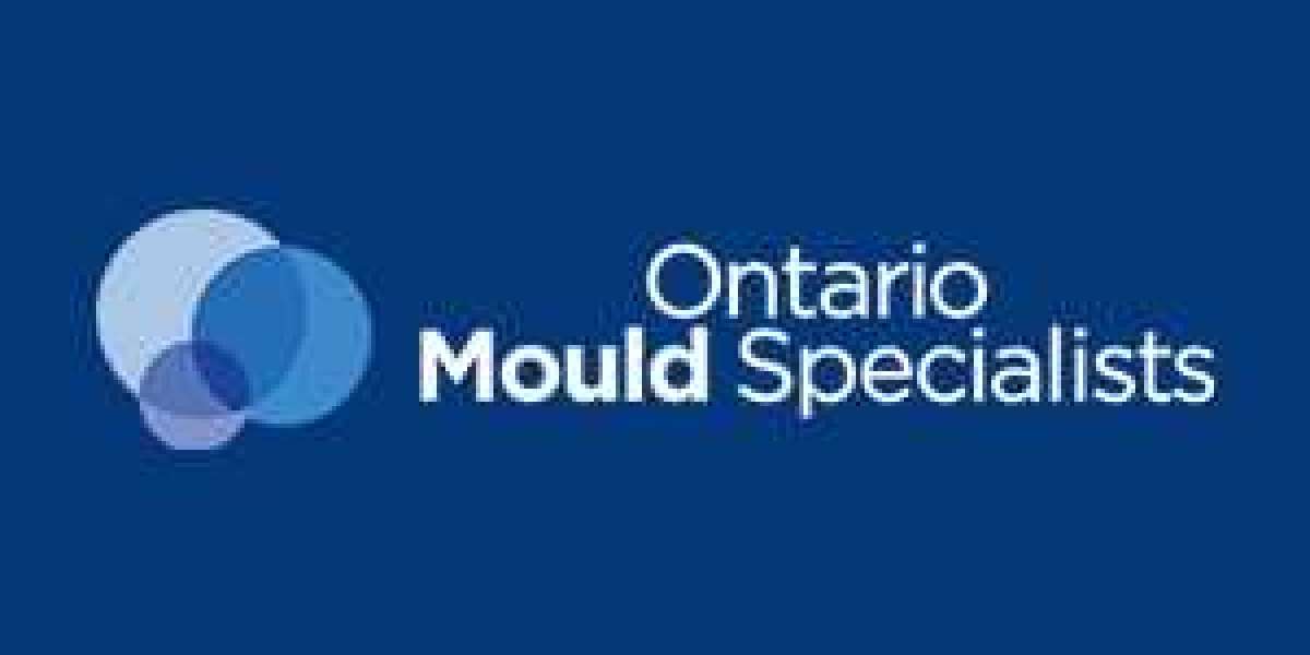 Ontario Mould Specialists