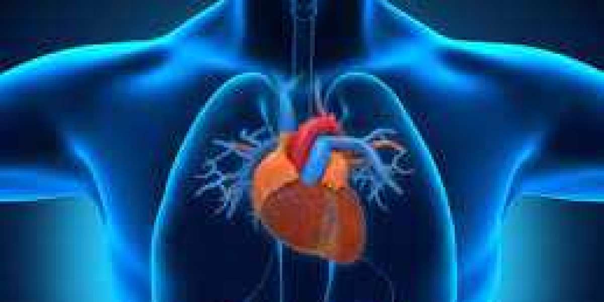 Chennai's Heart Care Excellence: Interventional Cardiology