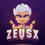 ZeusX Pte Ltd