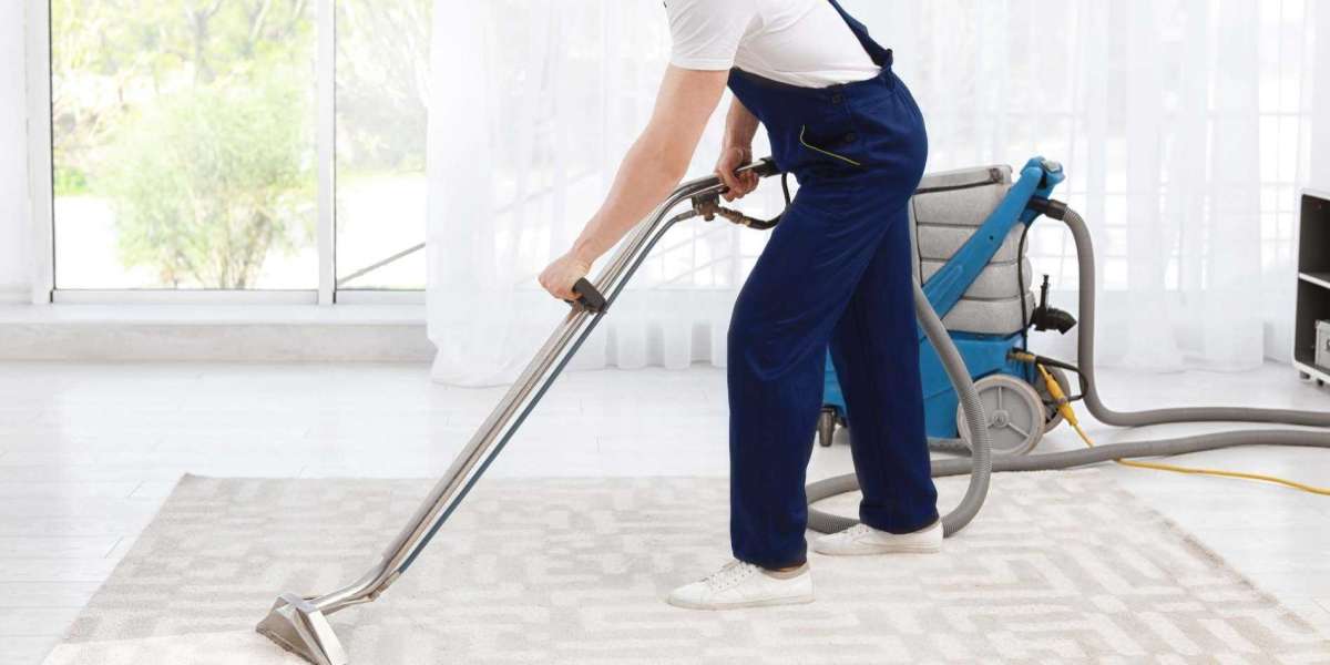 How Carpet Cleaning Transforms Your Home’s Comfort and Air Quality