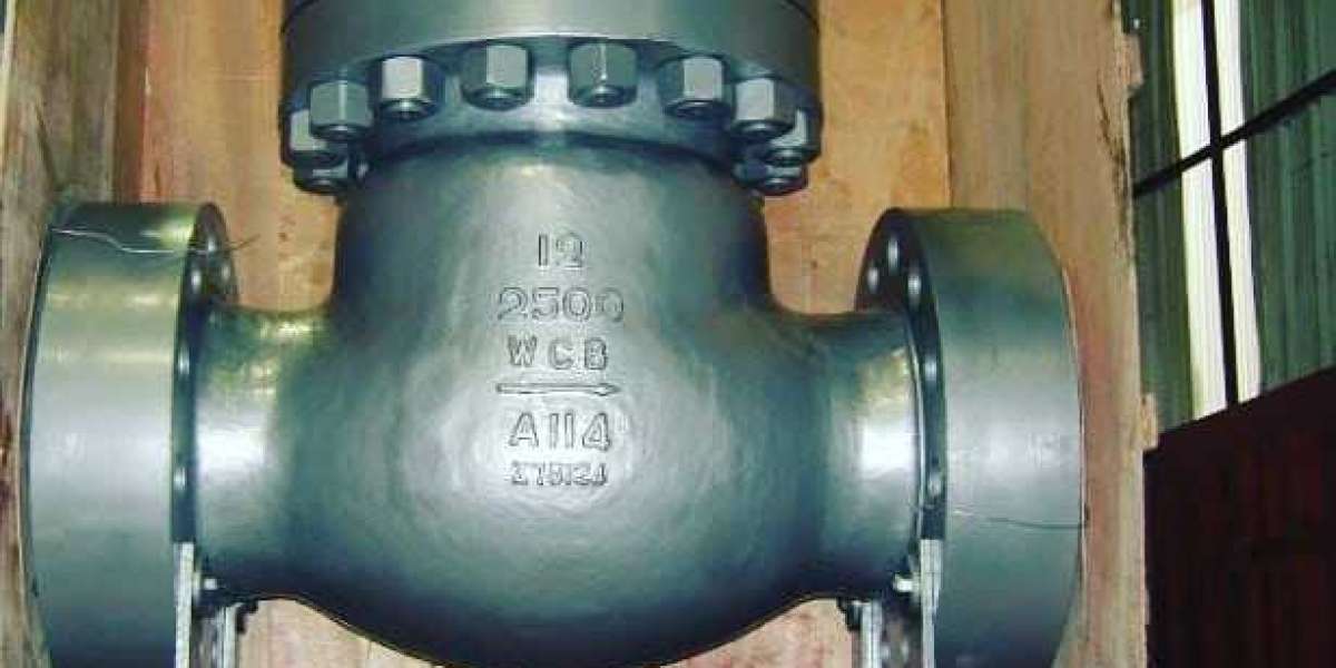 Check Valve Manufacturers in USA