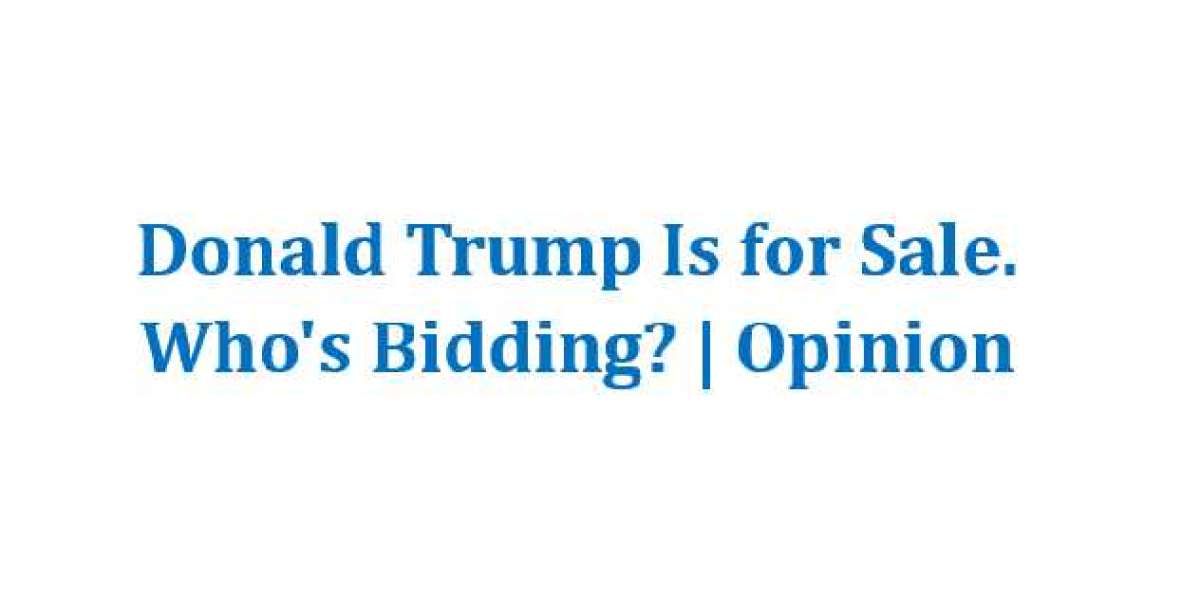 Donald Trump's Legal Battles and Their Impact on His Political Career