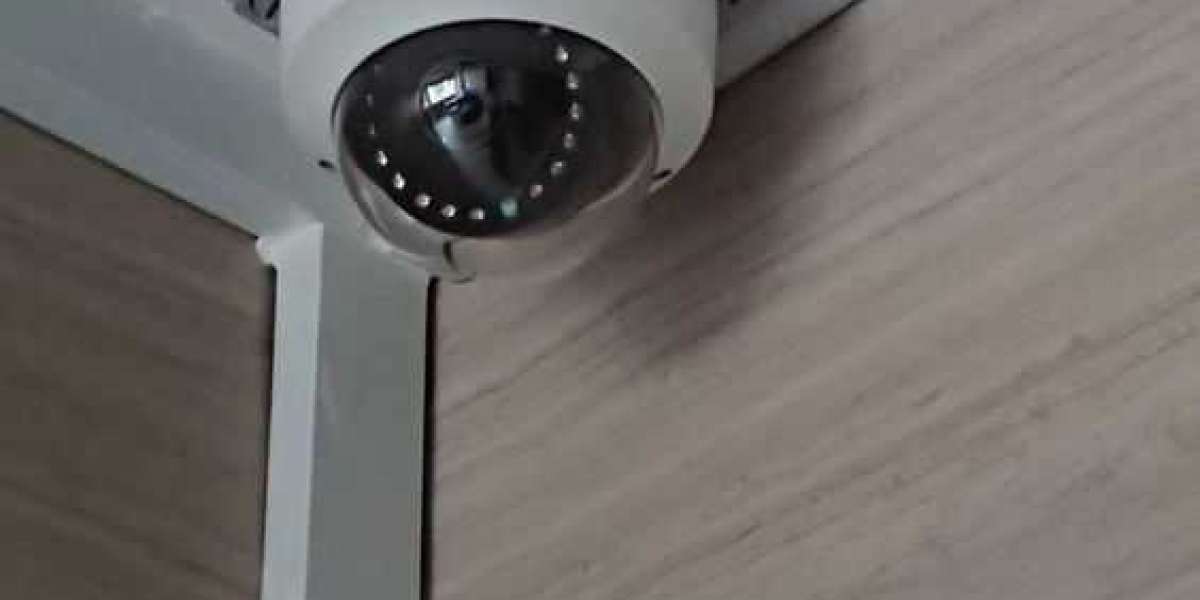 The Role of Surveillance Cameras: Official Statements and Public Impact