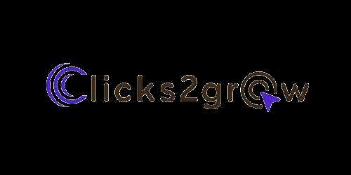 Clicks2grow: Boosting your business by utilizing Expert Digital Marketing Services