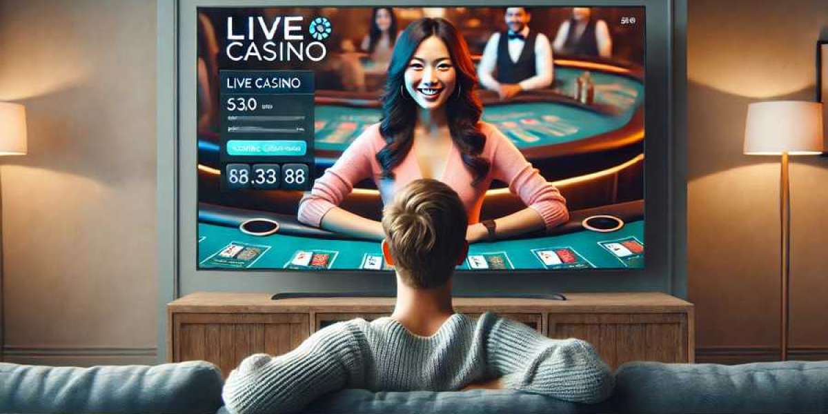 Explore the Casino Site Experience