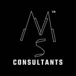 MS Consultant